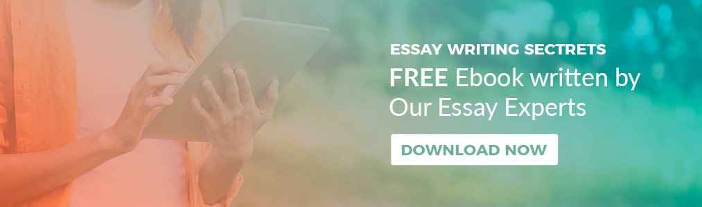 The Next 3 Things To Immediately Do About essay writing service